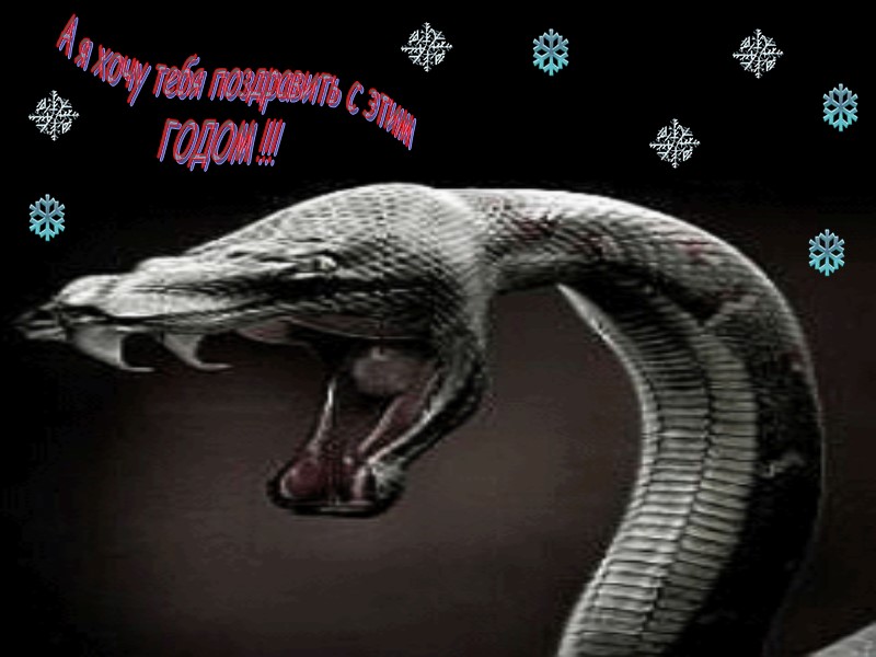 А я хочу тебя поздравить с этим ГОДОМ !!!